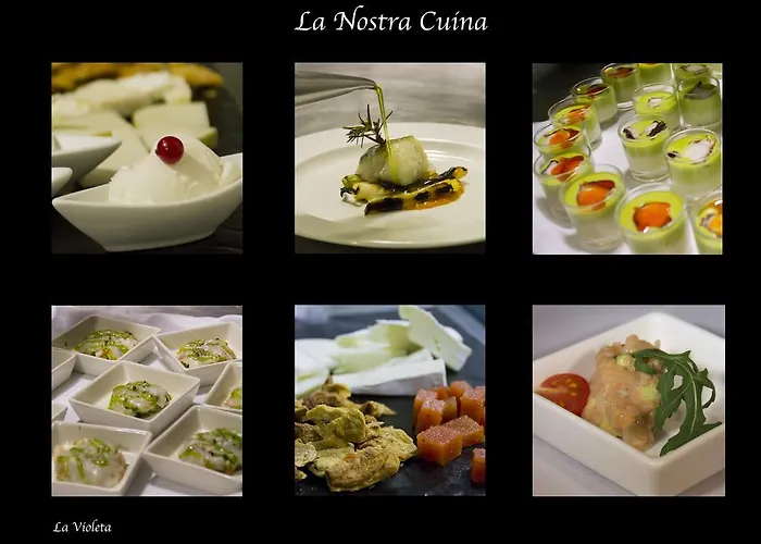 La Violeta & Chill Out 4* Castelltercol